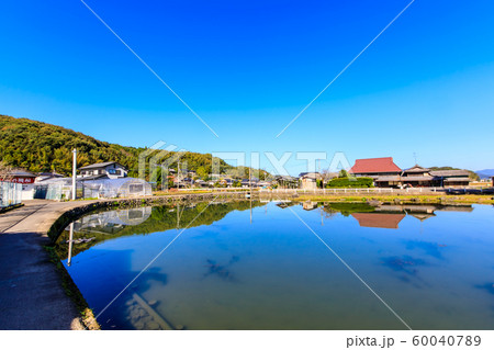 縫ノ池の秋景色　【佐賀県杵島郡白石町】 60040789
