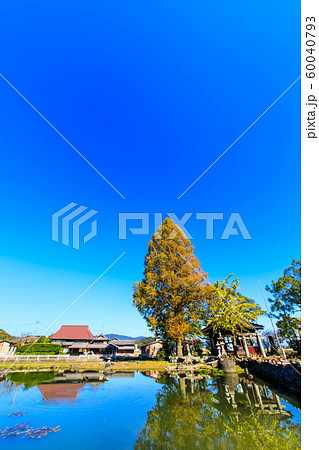 縫ノ池の秋景色　【佐賀県杵島郡白石町】 60040793