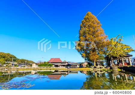 縫ノ池の秋景色　【佐賀県杵島郡白石町】 60040800