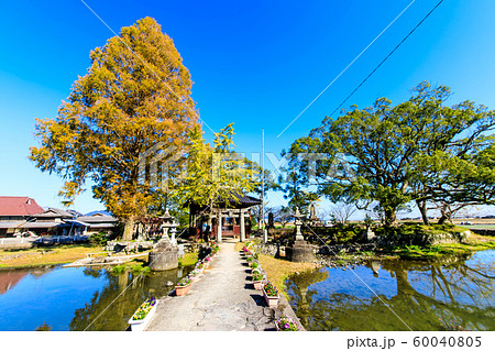 縫ノ池の秋景色　【佐賀県杵島郡白石町】 60040805