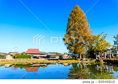 縫ノ池の秋景色　【佐賀県杵島郡白石町】 60040810