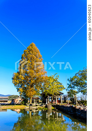 縫ノ池の秋景色　【佐賀県杵島郡白石町】 60040823