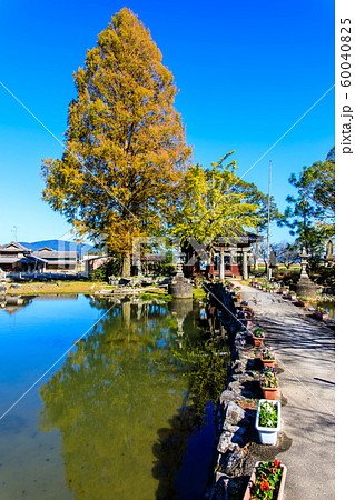 縫ノ池の秋景色　【佐賀県杵島郡白石町】 60040825