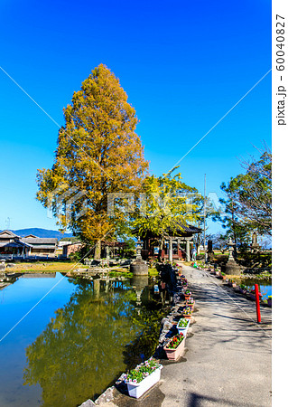 縫ノ池の秋景色　【佐賀県杵島郡白石町】 60040827