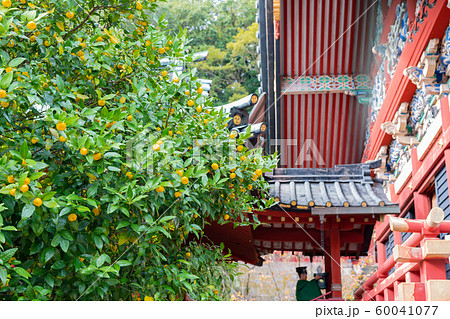 静岡浅間神社　大拝殿 60041077