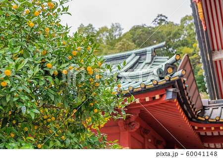 静岡浅間神社　大拝殿 60041148