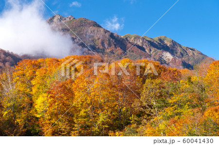 雨飾山の紅葉 60041430