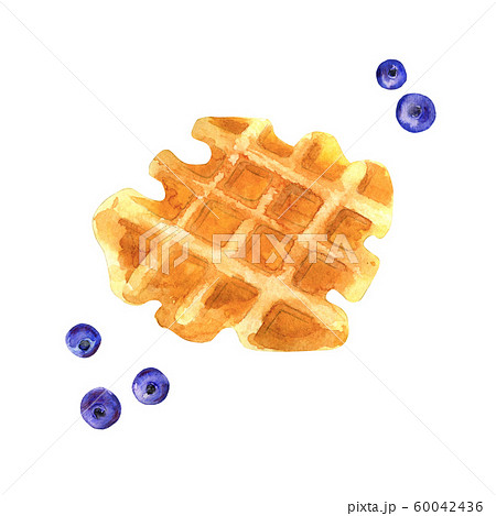 Watercolor waffle with blueberries. 60042436
