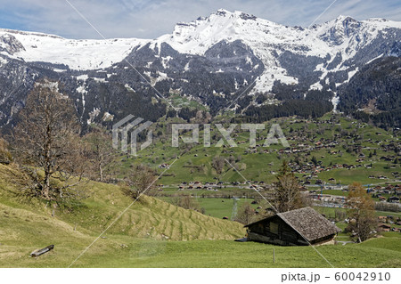 スイス　グリンデルワルドの街と雪山 60042910
