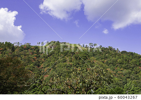 津和野 津和野城跡 島根県鹿足郡津和野町 津和野 津和野城跡 島根県鹿足郡津和野町 60043267