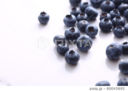ブルーベリー ブルーベリー 60043693