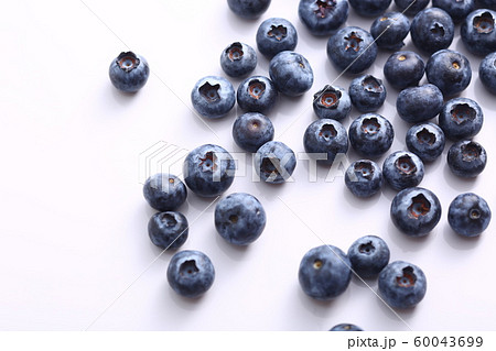 ブルーベリー 60043699