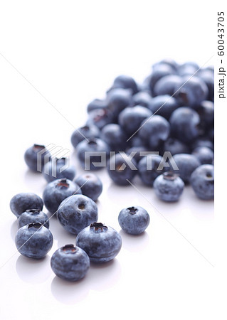 ブルーベリー 60043705
