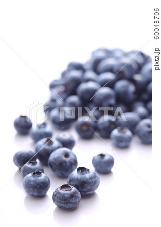 ブルーベリー ブルーベリー 60043706
