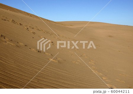 鳥取　四季の散歩　秋　鳥取砂丘 60044211