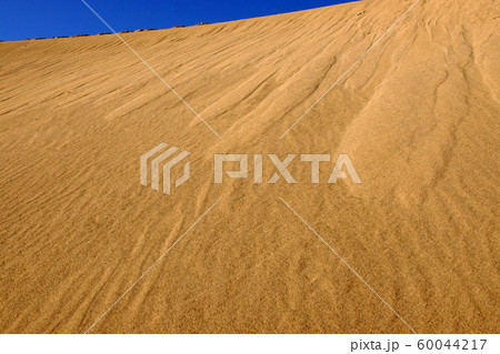 鳥取　四季の散歩　秋　鳥取砂丘 60044217