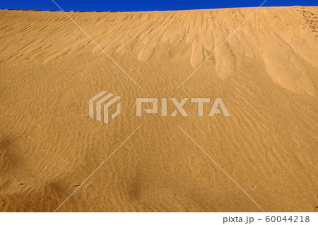 鳥取　四季の散歩　秋　鳥取砂丘 60044218