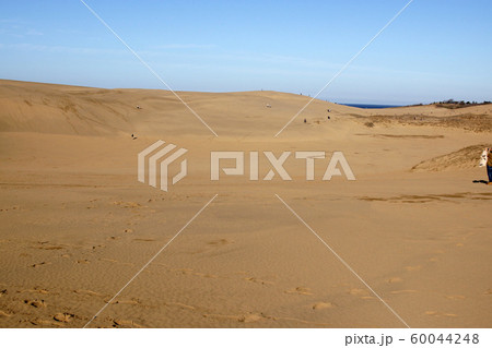 鳥取　四季の散歩　秋　鳥取砂丘 60044248