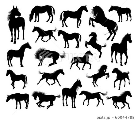 Horse Silhouettesのイラスト素材