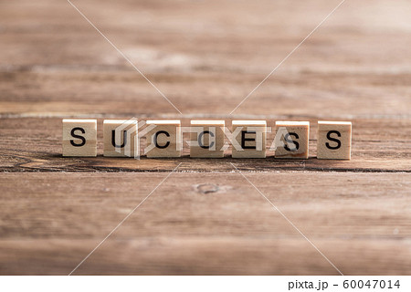 Business success concept 60047014