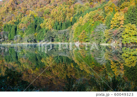 秋の中綱湖：朝景　　　　大町市 60049323