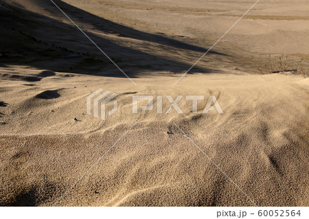 鳥取　四季の散歩　秋　鳥取砂丘 60052564