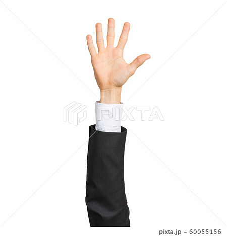 Businessman hand in suit showing open palm gesture Businessman hand in suit showing open palm gesture 60055156