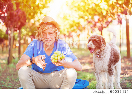 Smiling boy with dog in vineyard at sunny day Smiling boy with dog in vineyard at sunny day 60055414