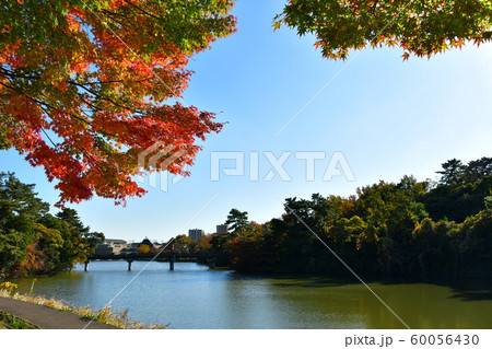 秋のしあわせ村 秋のしあわせ村 60056430