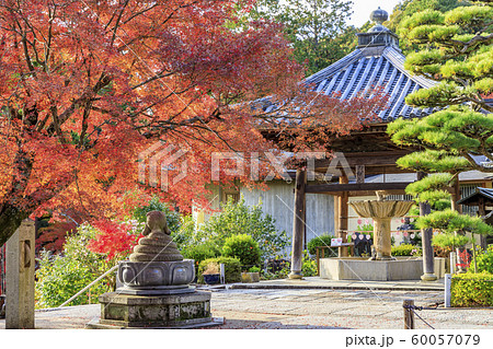 三室戸寺 紅葉 三室戸寺 紅葉 60057079