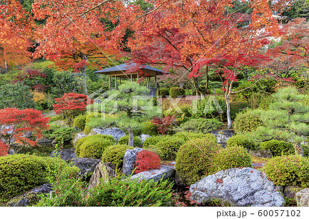 三室戸寺 紅葉の写真素材