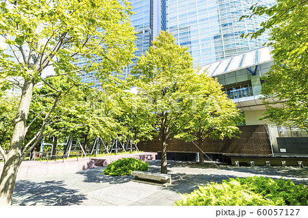 緑の多いオフィス街の風景 60057127