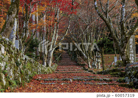 鶏足寺 紅葉 鶏足寺 紅葉 60057319