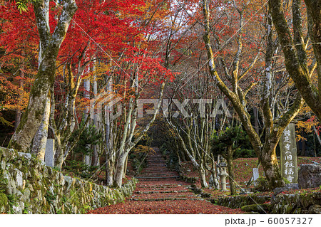 鶏足寺　紅葉 60057327