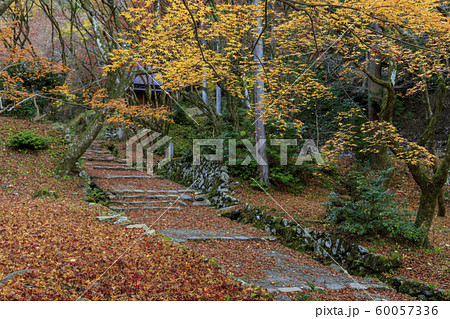 鶏足寺 紅葉 鶏足寺 紅葉 60057336