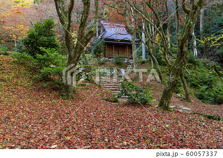 鶏足寺 紅葉 鶏足寺 紅葉 60057337