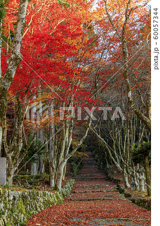 鶏足寺 紅葉 鶏足寺 紅葉 60057344