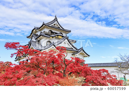 彦根城　紅葉 60057599