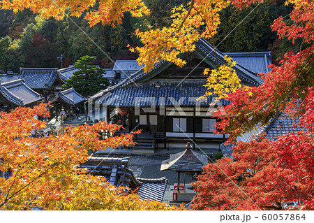 楊谷寺 柳谷観音 紅葉 楊谷寺 柳谷観音 紅葉 60057864