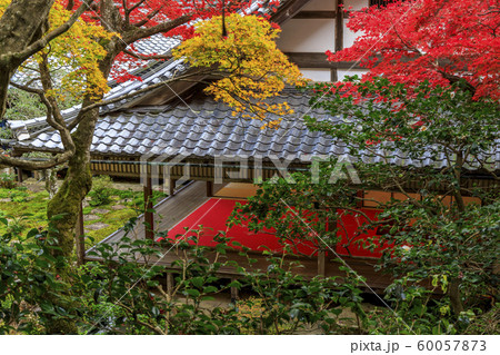 楊谷寺　柳谷観音　紅葉 60057873