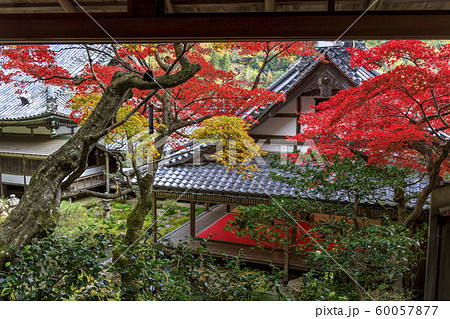楊谷寺　柳谷観音　紅葉 60057877
