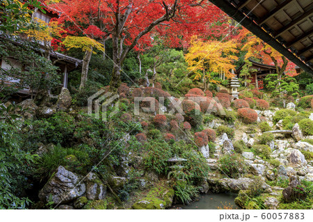 楊谷寺 柳谷観音 紅葉 楊谷寺 柳谷観音 紅葉 60057883