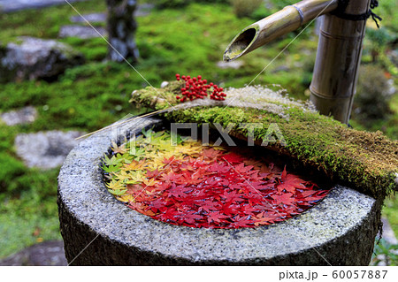 楊谷寺　柳谷観音　紅葉 60057887