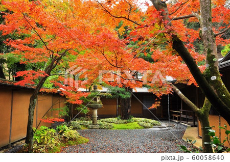 鎌倉の町並み 一条恵観山荘中庭の紅葉 鎌倉の町並み 一条恵観山荘中庭の紅葉 60058640