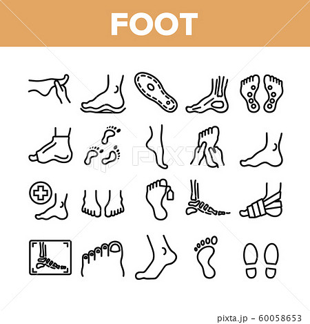 Foot Human Body Part Collection Icons Set Vector Foot Human Body Part Collection Icons Set Vector 60058653