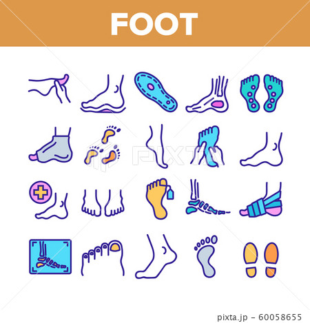 Foot Human Body Part Collection Icons Set Vector 60058655