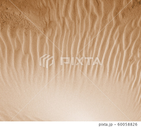 Endless sands 60058826