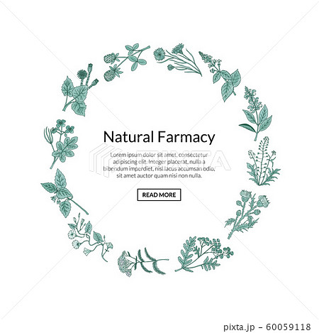 Vector hand drawn medical herbs Vector hand drawn medical herbs 60059118