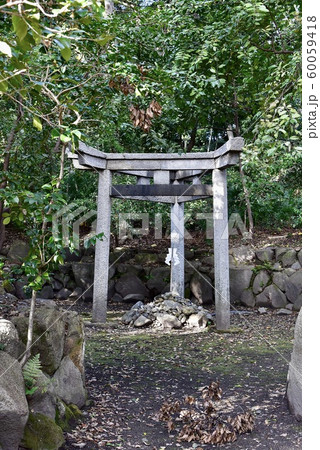 京都・蚕ノ社 三柱鳥居 60059418