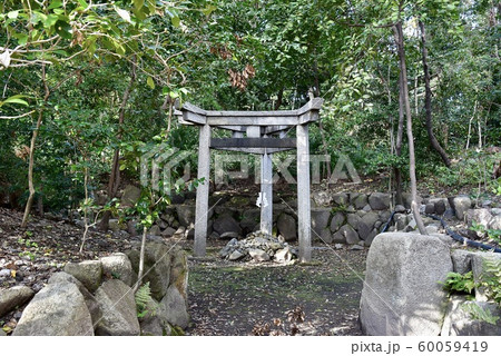京都・蚕ノ社 三柱鳥居 60059419